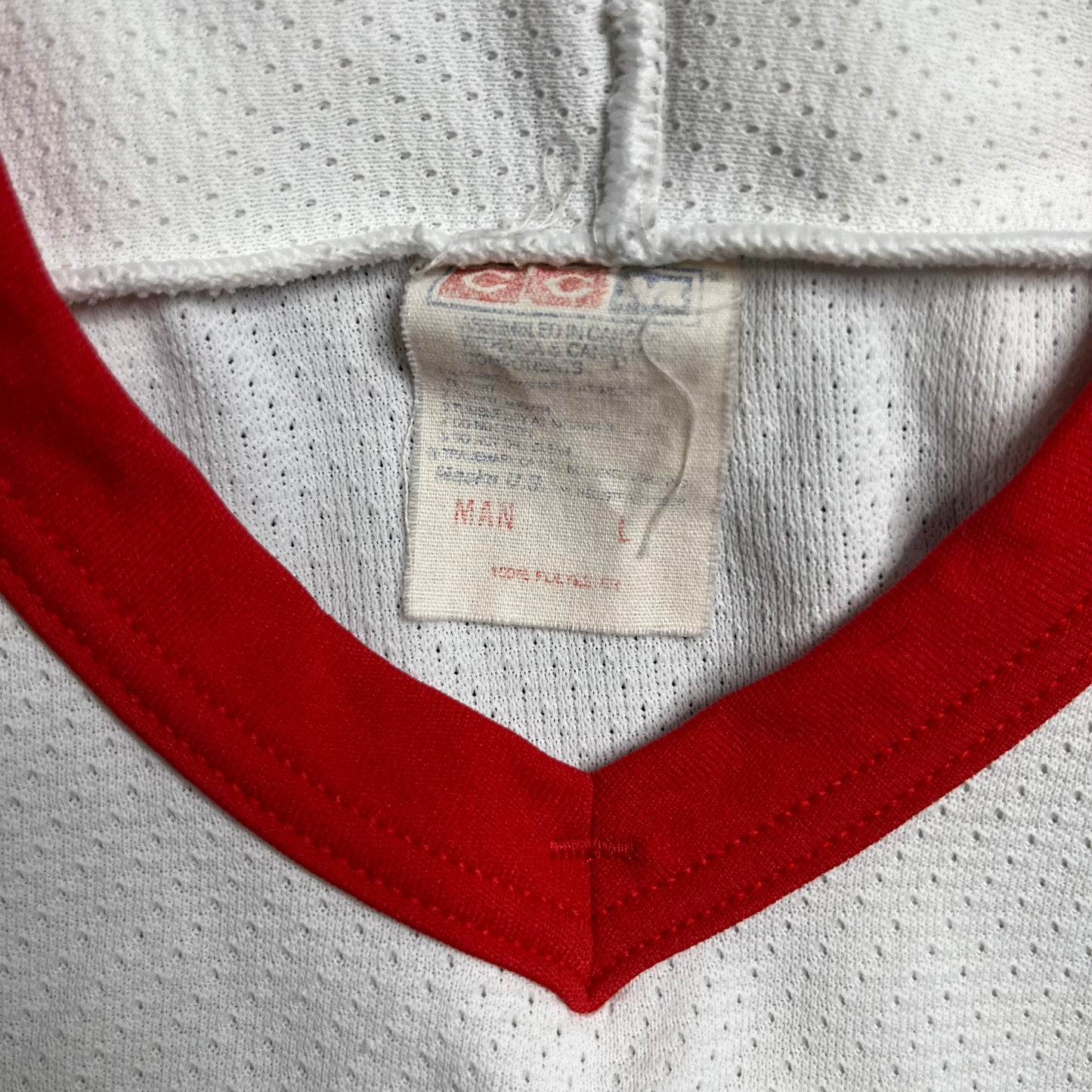 90s Detroit Red Wing Jersey (L)