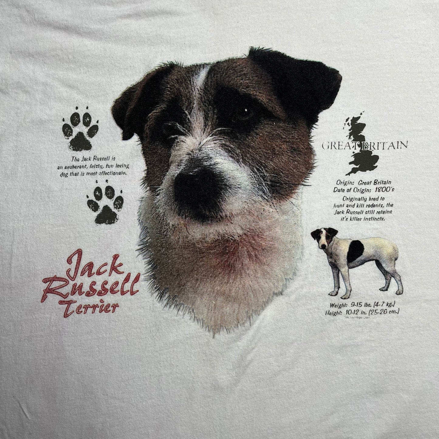 Jack Russell Terrier Dog Tee (L)
