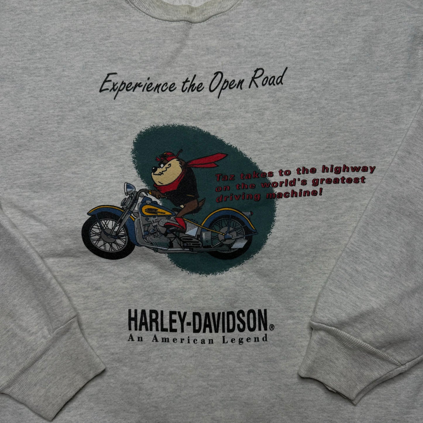 RARE 90s Taz Harley Davidson Crewneck - L