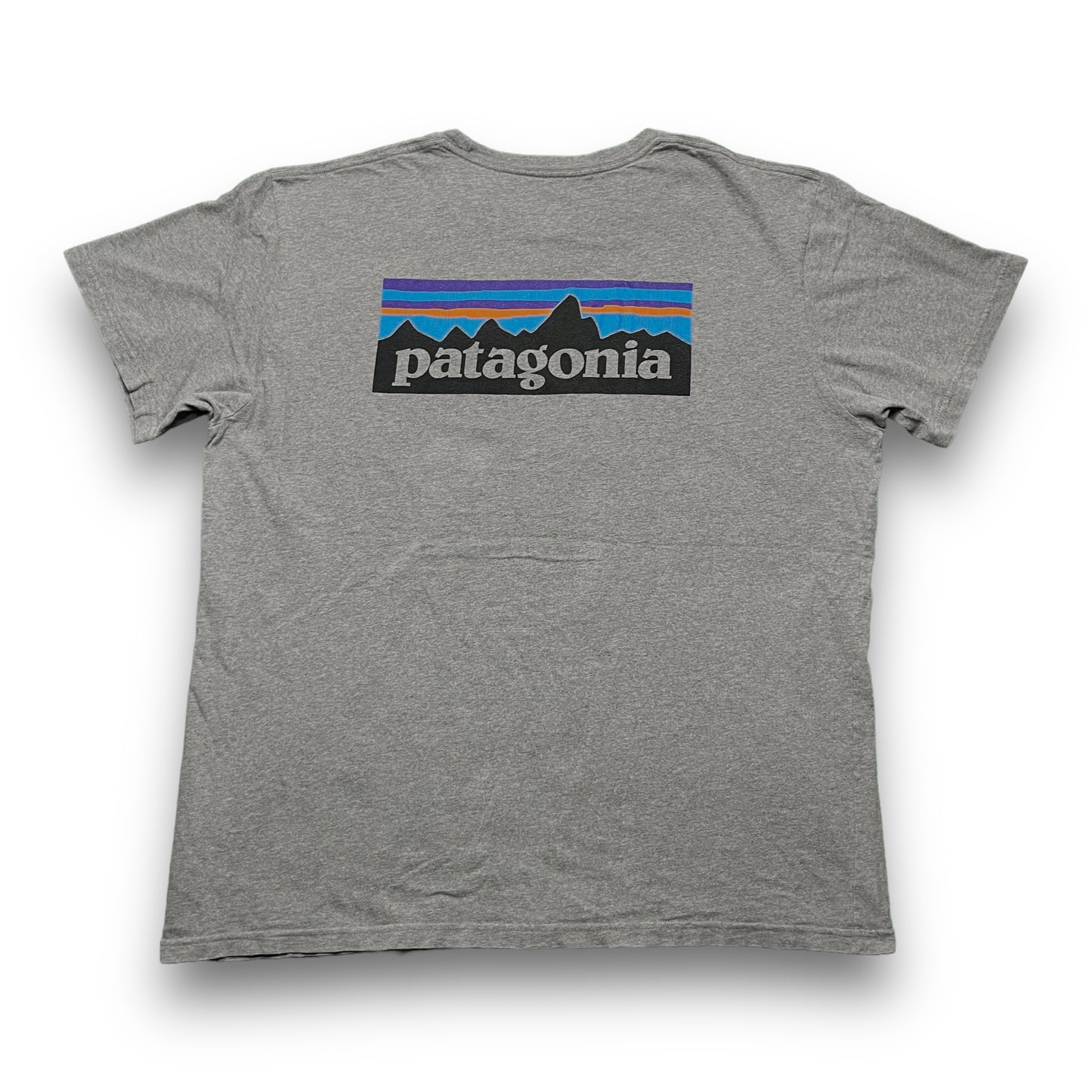 Patagonia Grey Tee - Large