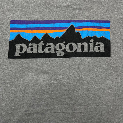 Patagonia Grey Tee - Large