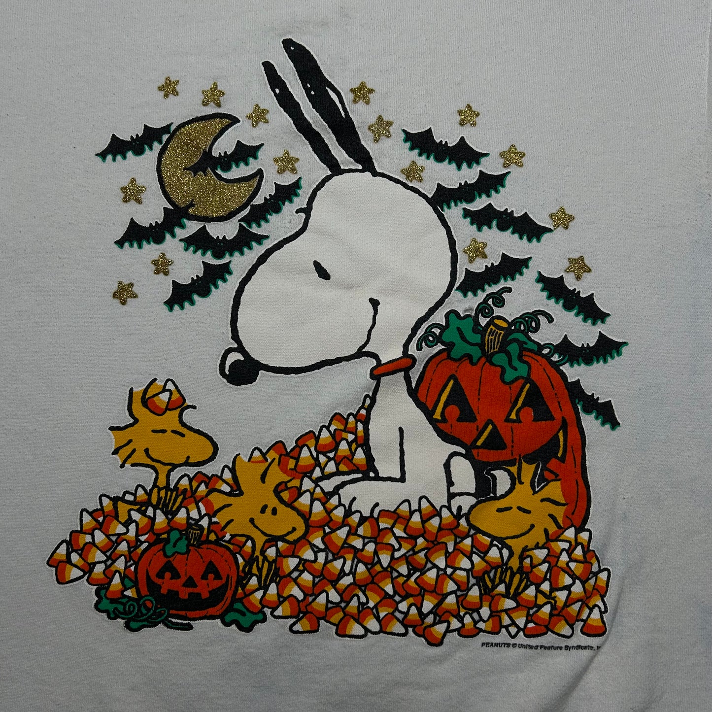 90s Peanuts Fall Crewneck (L)