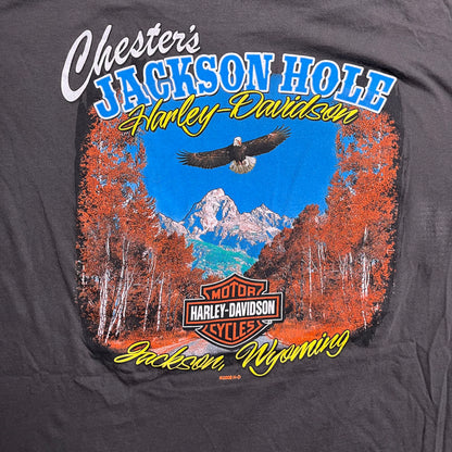 ‘08 Wyoming Harley Davidson Tee - 2XL