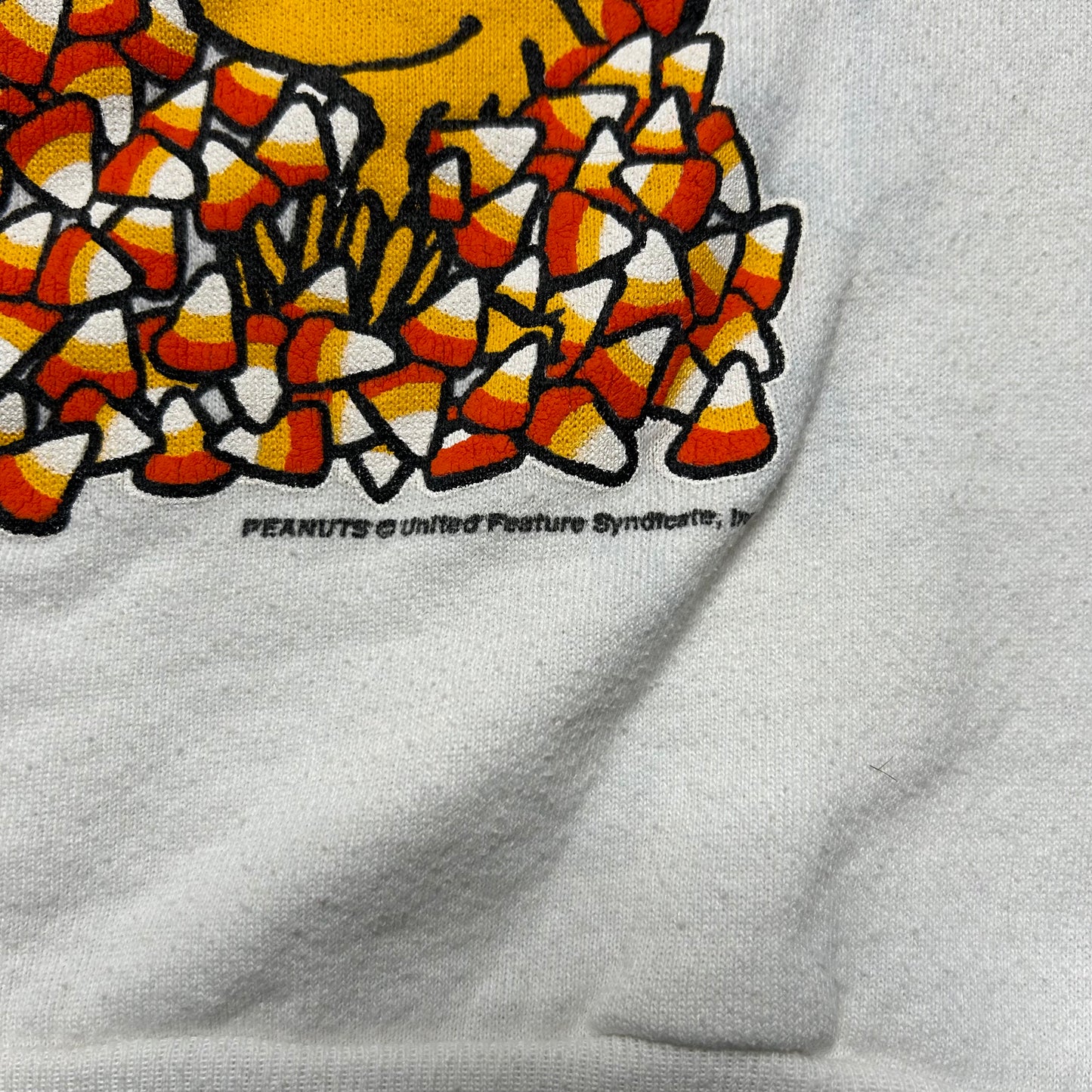 90s Peanuts Fall Crewneck (L)